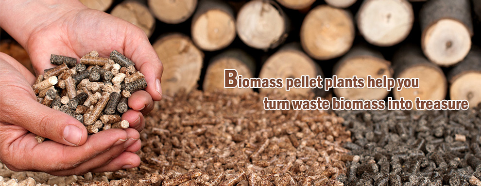 Biomass pellet plants help you turn waste biomass into treasure